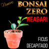 Neagari Bonsai Zero URBANO Ficus Decapitado (con certificado)