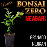 Neagari Bonsai Zero URBANO Granado Nejikan