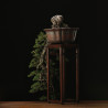 PINUS SYLVESTRIS - 4.B3254