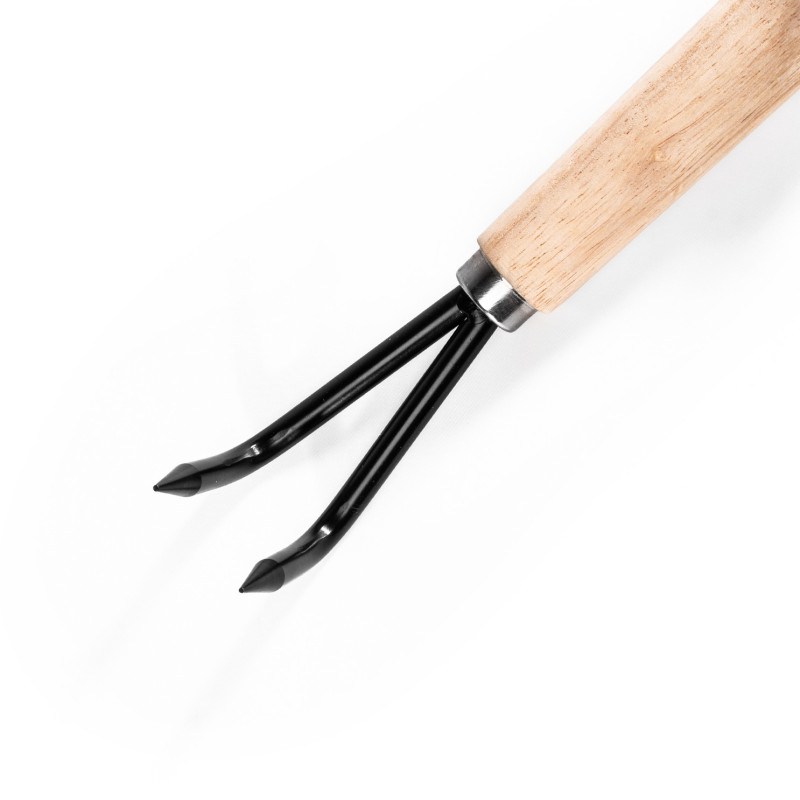 Garra de Trasplante – 2 Dientes