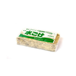Musgo Sphagnum