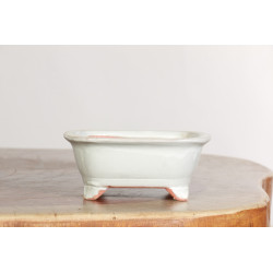 Maceta China - CH457