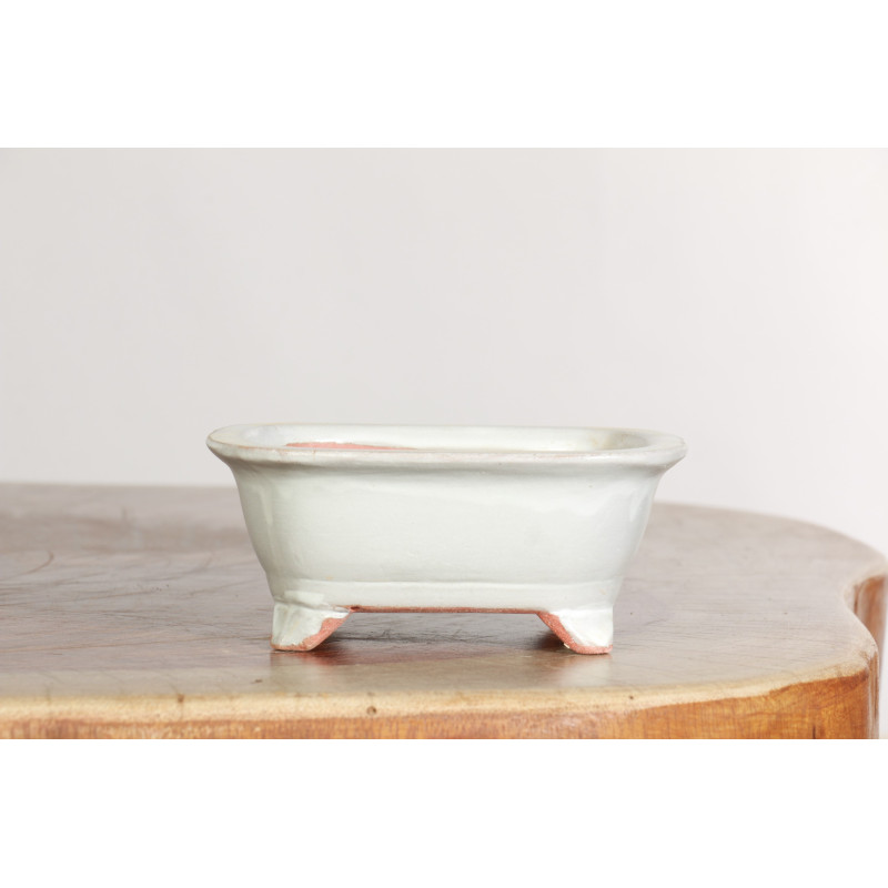 Maceta China - CH457