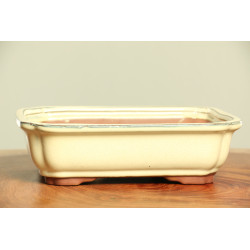 Maceta China - CH463