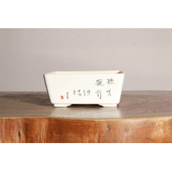 Maceta China - 5.1.004