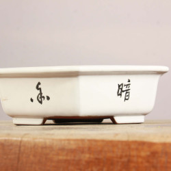 Maceta China - 5.1.040