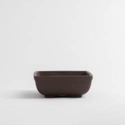 MACETA CHINA - 5.1.115