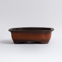 Maceta Japonesa Yokkaichi -...