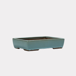 Vaso Japão Ejiri Taizan - 5.2.262