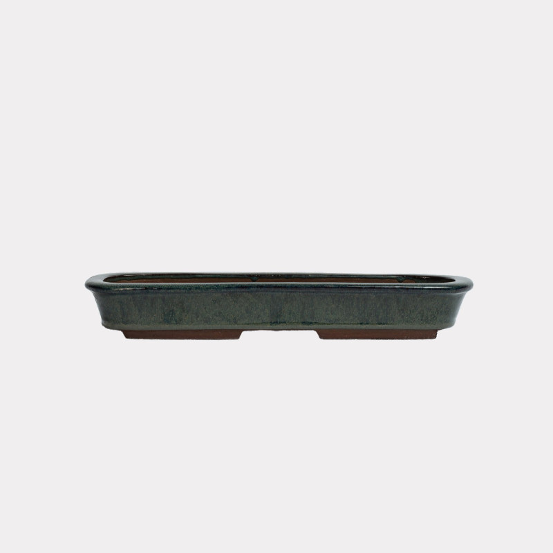 Vaso Japão Ejiri Taizan - 5.2.264