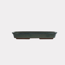 Vaso Japão Ejiri Taizan - 5.2.264