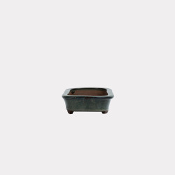 Vaso Japão Ejiri Taizan - 5.2.264