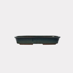 Vaso Japão Ejiri Taizan - 5.2.265