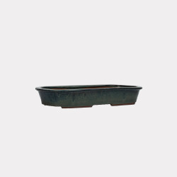 Vaso Japão Ejiri Taizan - 5.2.265