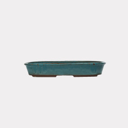 Vaso Japão Ejiri Taizan - 5.2.267