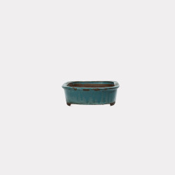 Vaso Japão Ejiri Taizan - 5.2.267