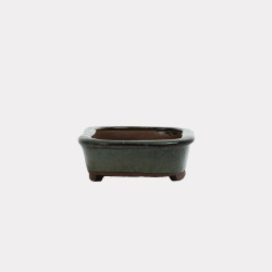 Vaso Japão Ejiri Taizan - 5.2.272