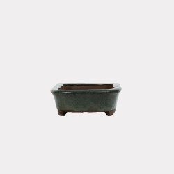 Vaso Japão Ejiri Taizan - 5.2.272