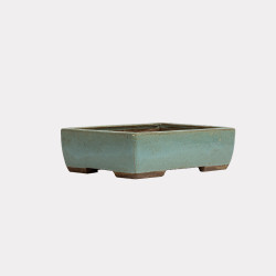 Vaso Japão Ejiri Taizan - 5.2.275