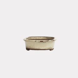 Vaso Japão Ejiri Taizan - 5.2.277
