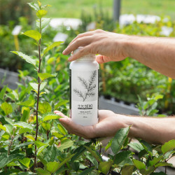 Enraizante - 500mL