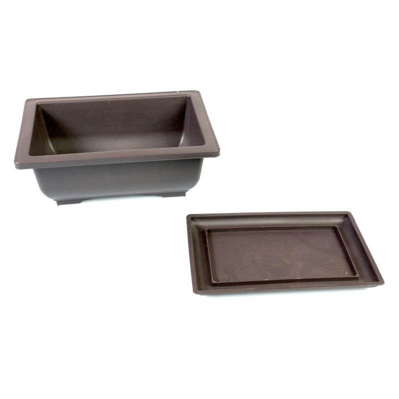 Maceta Plástico 16 cm + Prato