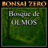 Bonsai Zero - Bosque de Olmos