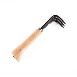 Garra de Trasplante – 3 Dientes