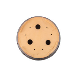 Maceta Europa Milan Klika - 5.3.175