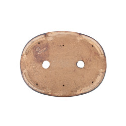 Maceta Europa Milan Klika - 5.3.202