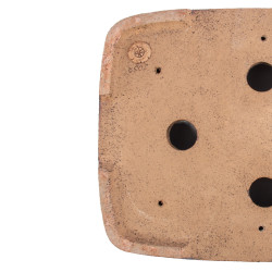 Maceta Europa Milan Klika - 5.3.204