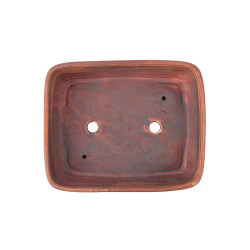 Maceta Europa - 5.3.239