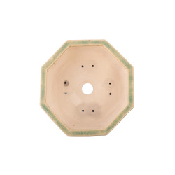 Maceta Europa - 5.3.242