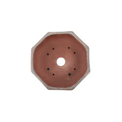 Maceta Europa - 5.3.271