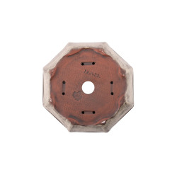 Maceta Europa - 5.3.295