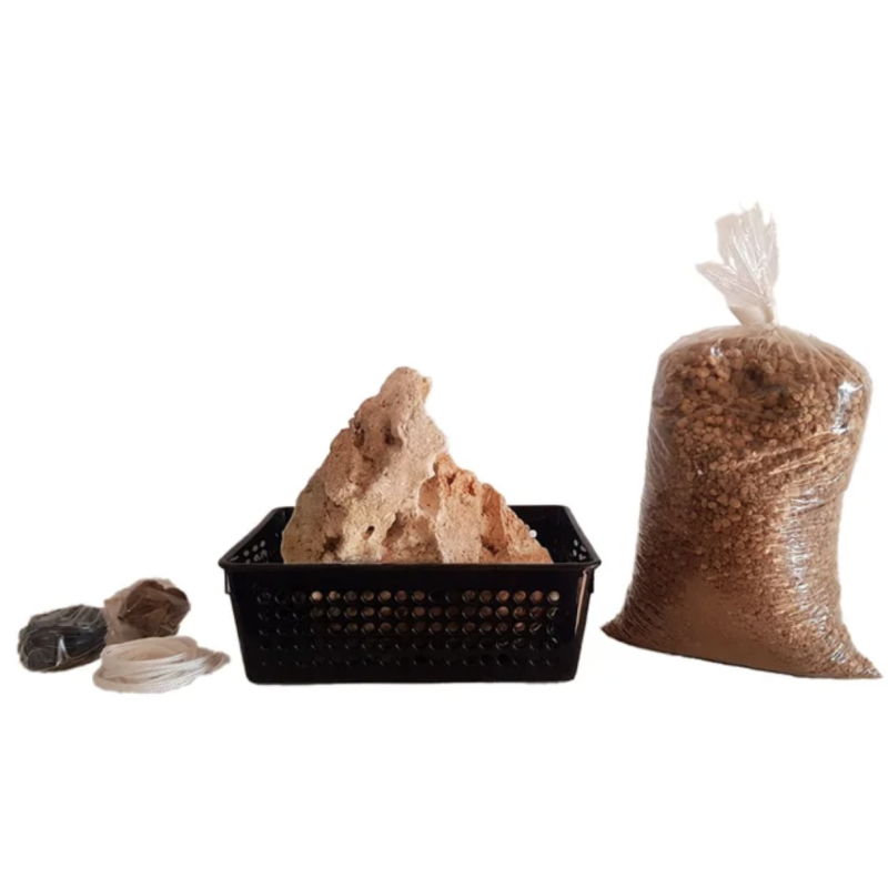 Kit ISHITSUKI URBANO Bonsai Zero