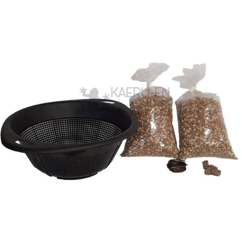 Kit de cultivo en coladores XXL para Bonsai