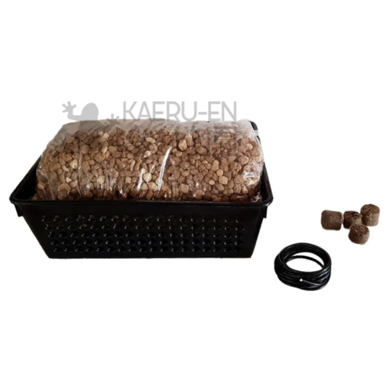 Kit cultivo en coladores RECTANGULAR para BONSAI