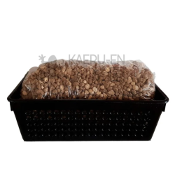 Kit cultivo en coladores RECTANGULAR para BONSAI