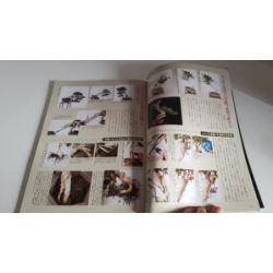 Revista Bonsai 2019 KINBON 6