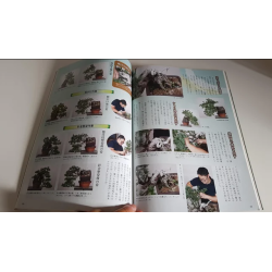 Revista Bonsai 2019 KINBON 6