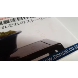 Revista Bonsai KINBON 1 enero 2020