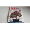 Revista Bonsai KINBON 1 enero 2020