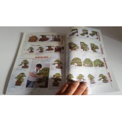 Revista Bonsai KINBON 1 enero 2020