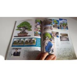 Revista Bonsai KINBON 1 enero 2020