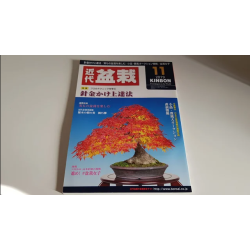 Revista Bonsai 2019 KINBON 11
