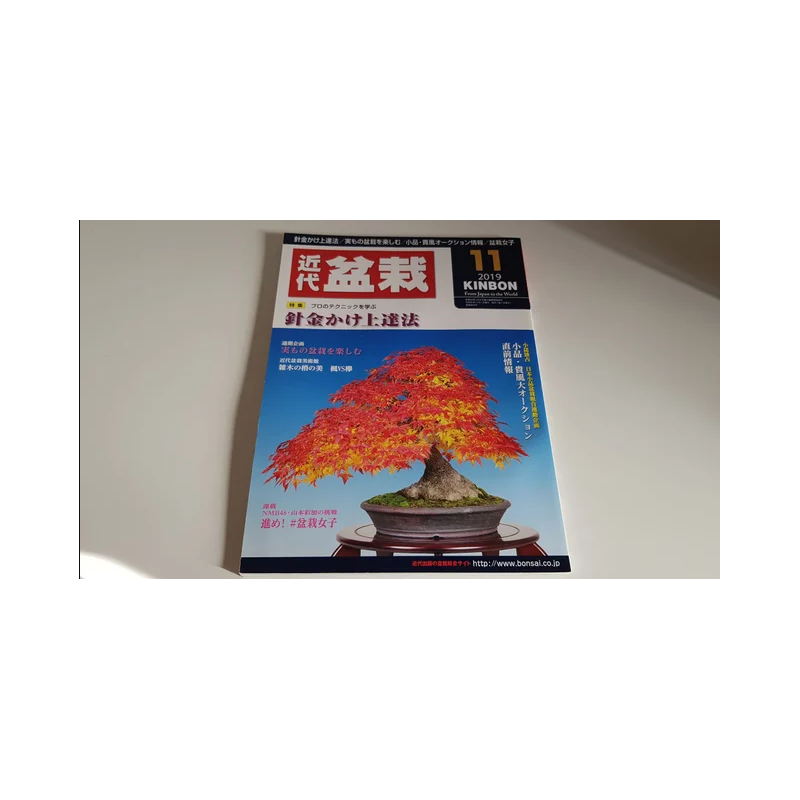 Revista Bonsai 2019 KINBON 11