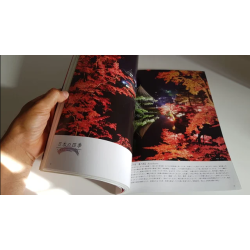 Revista Bonsai 2019 KINBON 11