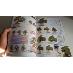 Revista Bonsai 2019 KINBON 11