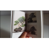 Libro de Bonsai en japonés